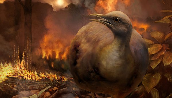 Ученые знают, как птицы пережили падение на Землю астероида-убийцы
