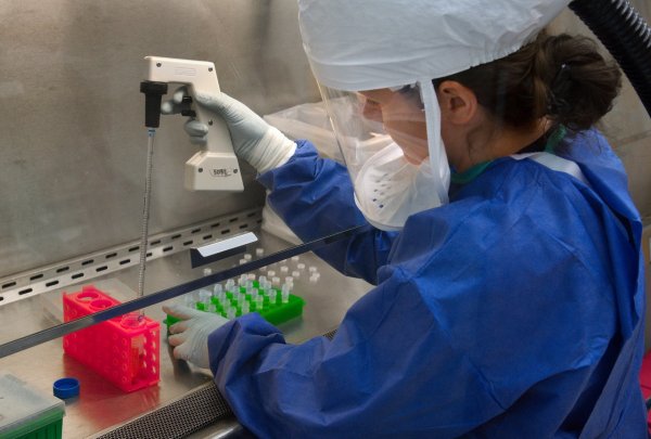 В «Сколково» создали биочип, за час выявляющий несколько видов рака