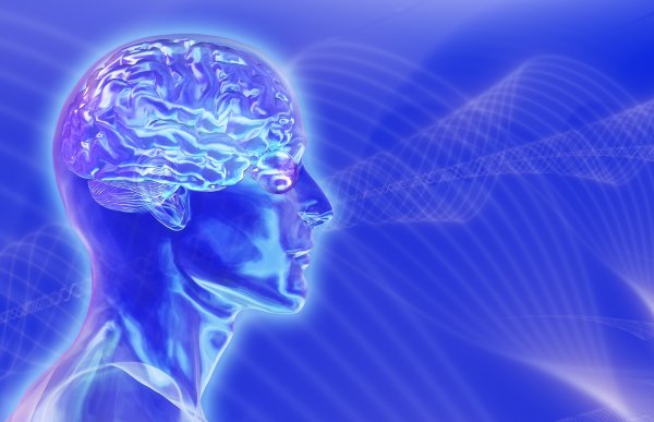 Ученые нашли в мозге человека стимулирующие память волны