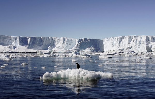 Ученые сообщили причину скорой пропажи Антарктиды