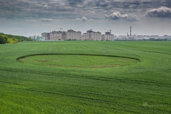 Инопланетяне тоже любят футбол: В Липецкой области замечены странные круги на полях
