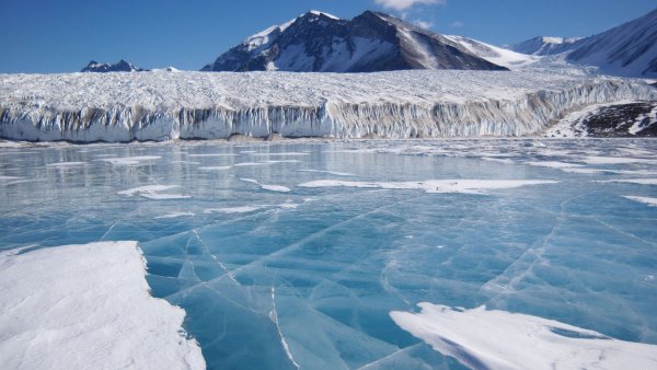 Льды на Антарктиде тают всё быстрее - Ученые