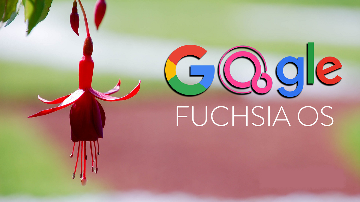 Google разрабатывает два инновационных устройства, которые получат Fuchsia OS