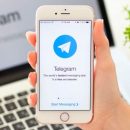 Пользователи с разных стран жалуются на сбои в работе Telegram