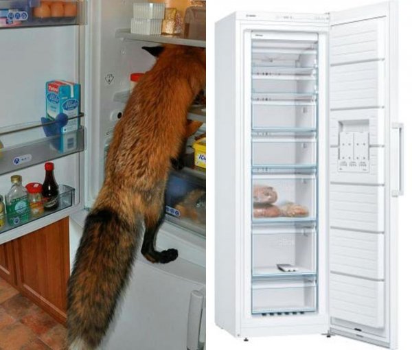 AliExpress рассказал, как выбрать холодильник и обрушил цены