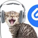Просьбы людей услышаны – Shazam научился распознавать музыку через наушники