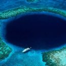Марианская впадина кишит жизнью: Ученые обнаружили жизнь во впадине