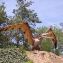 Самую крупную в истории челюсть птерозавра нашли в Румынии