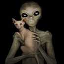 Ученые: Люди истребят инопланетян