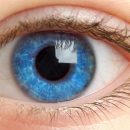 Ученые напечатали на 3D-принтере первую роговицу человеческого глаза