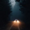 В сети появилась первая демка Beware — гоночного симулятора с элементами хоррора