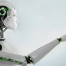 Японские ученые создали робота, которым управляют живые мышцы