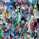 Учёные раскрыли новую опасность пластиковых бутылок