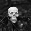 Учёные выделили часть мозга, воспринимающую сверхъестественное