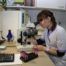 Учёные объяснили причины неизлечимости рака