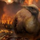 Ученые знают, как птицы пережили падение на Землю астероида-убийцы