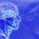 Ученые нашли в мозге человека стимулирующие память волны