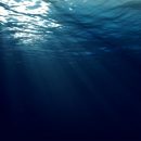 Исследователи: Люди могут дышать под водой