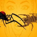 Учёные: Люди боятся скорпионов больше, чем пауков