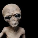 Эксперты: Инопланетяне существуют, но выглядят не так, как принято считать