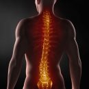 Ученые: Генная терапия может вылечить паралич конечностей