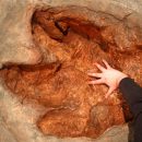 Учёные в Китае нашли шокирующие следы динозавров возрастом 120 млн лет