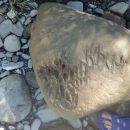 В Краснодарском крае обнаружили загадочный камень с иероглифами