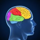 Ученые изобрели светящиеся микролазеры для выявления заболеваний мозга