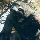 В Fallout 76 героя будут мучить жажда и голод