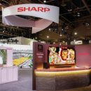 Новый гибкий смартфон от Sharp будет складываться в двух местах